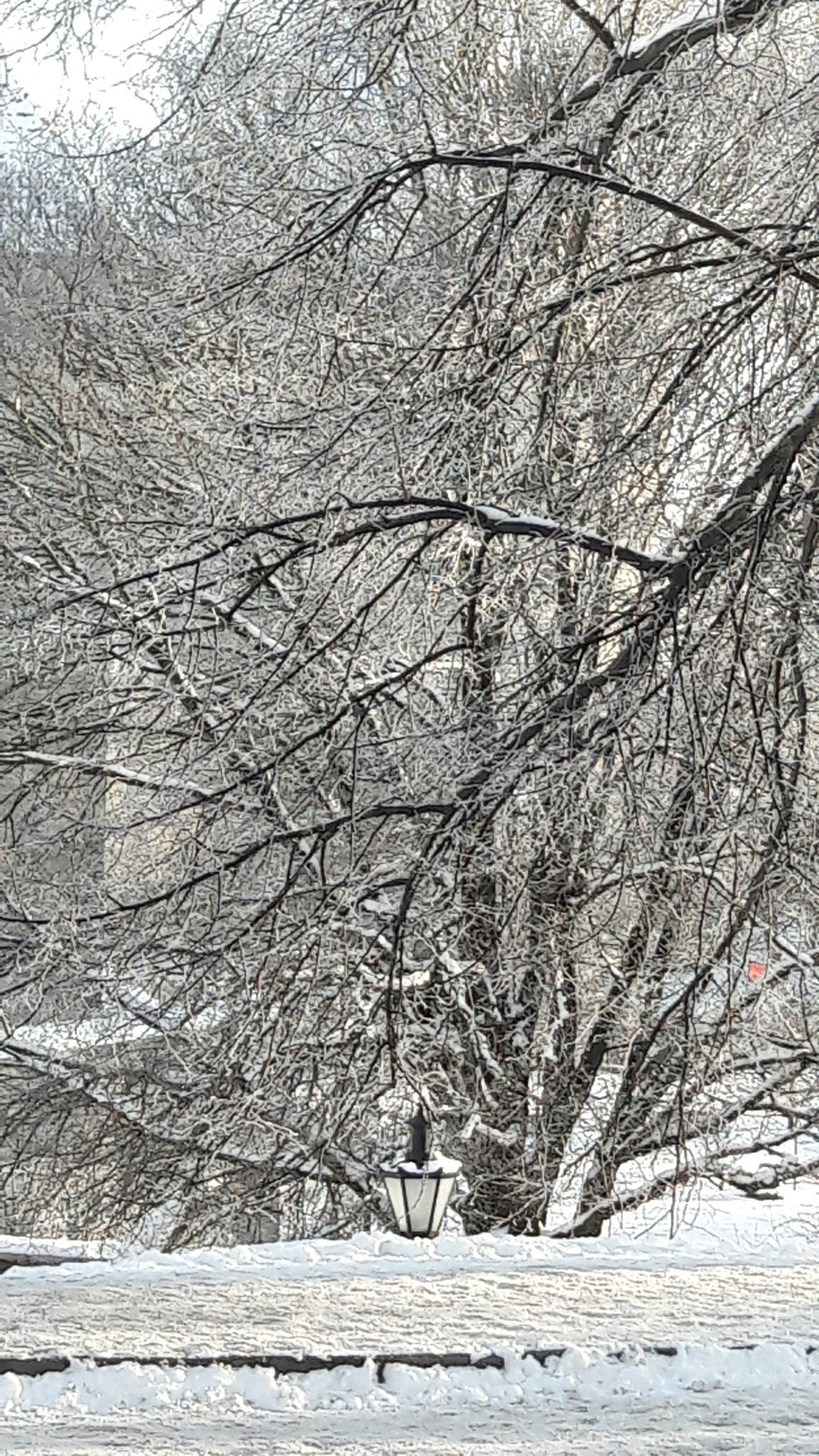 20180209_144756