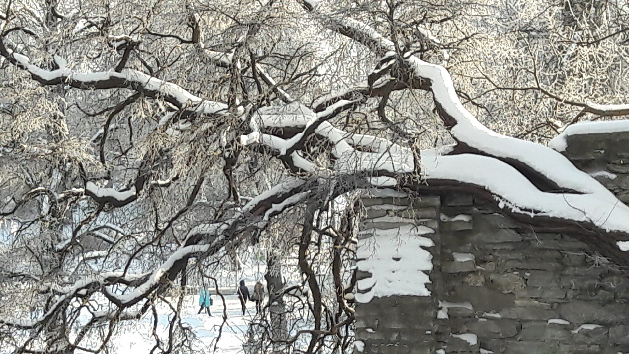 20180209_145014