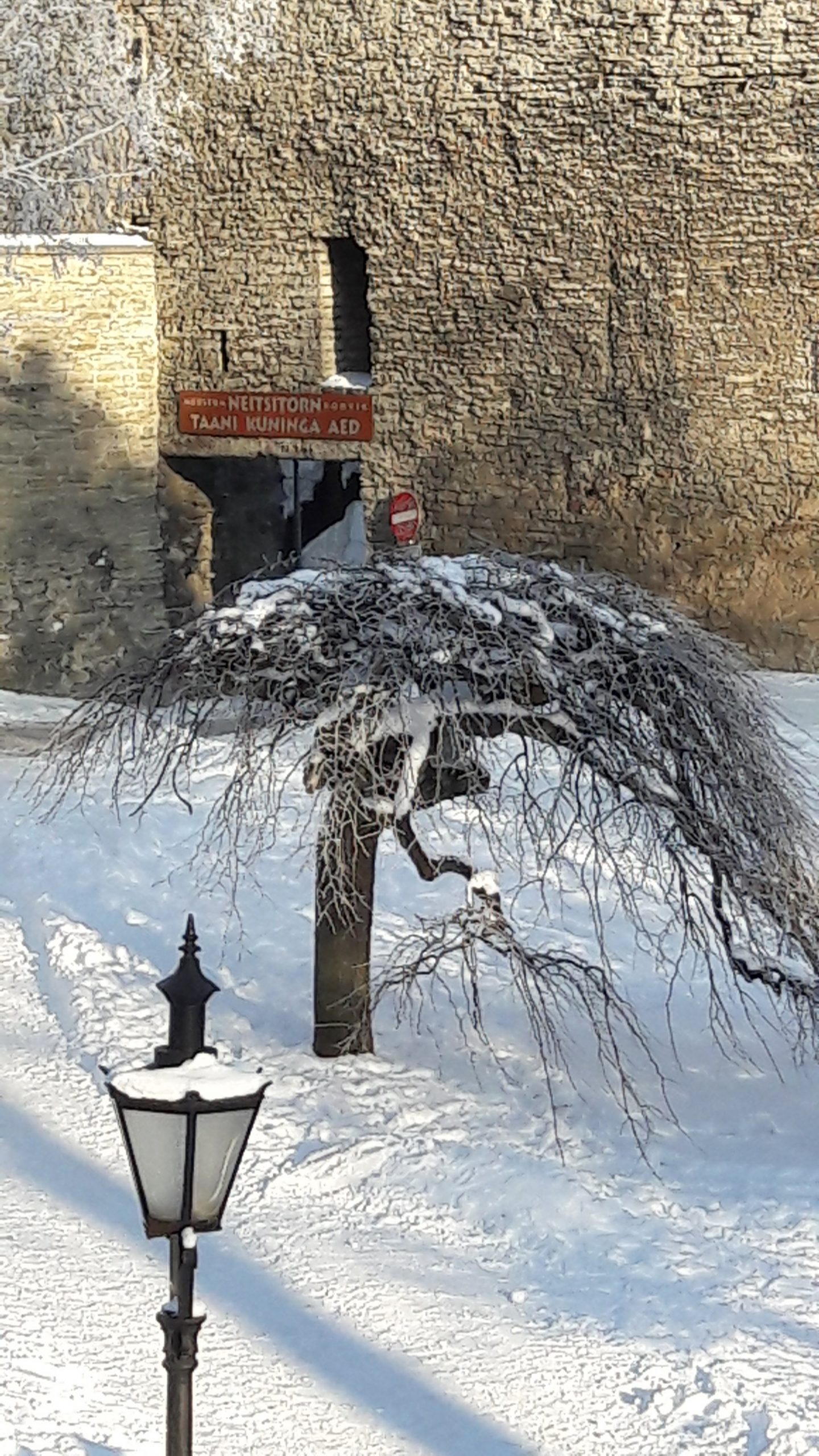 20180209_145045