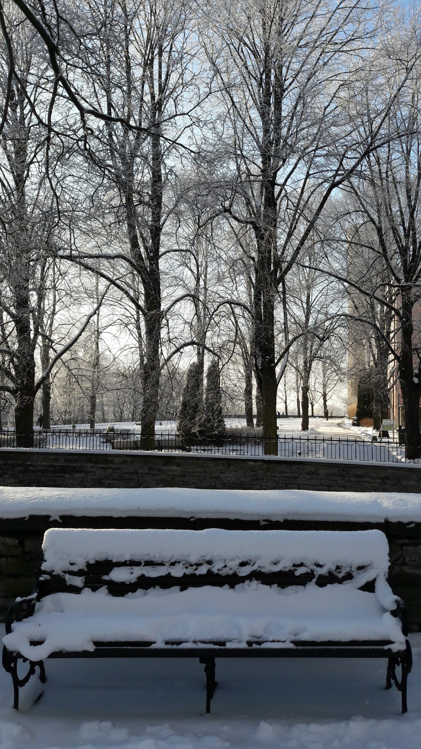 20180209_145245