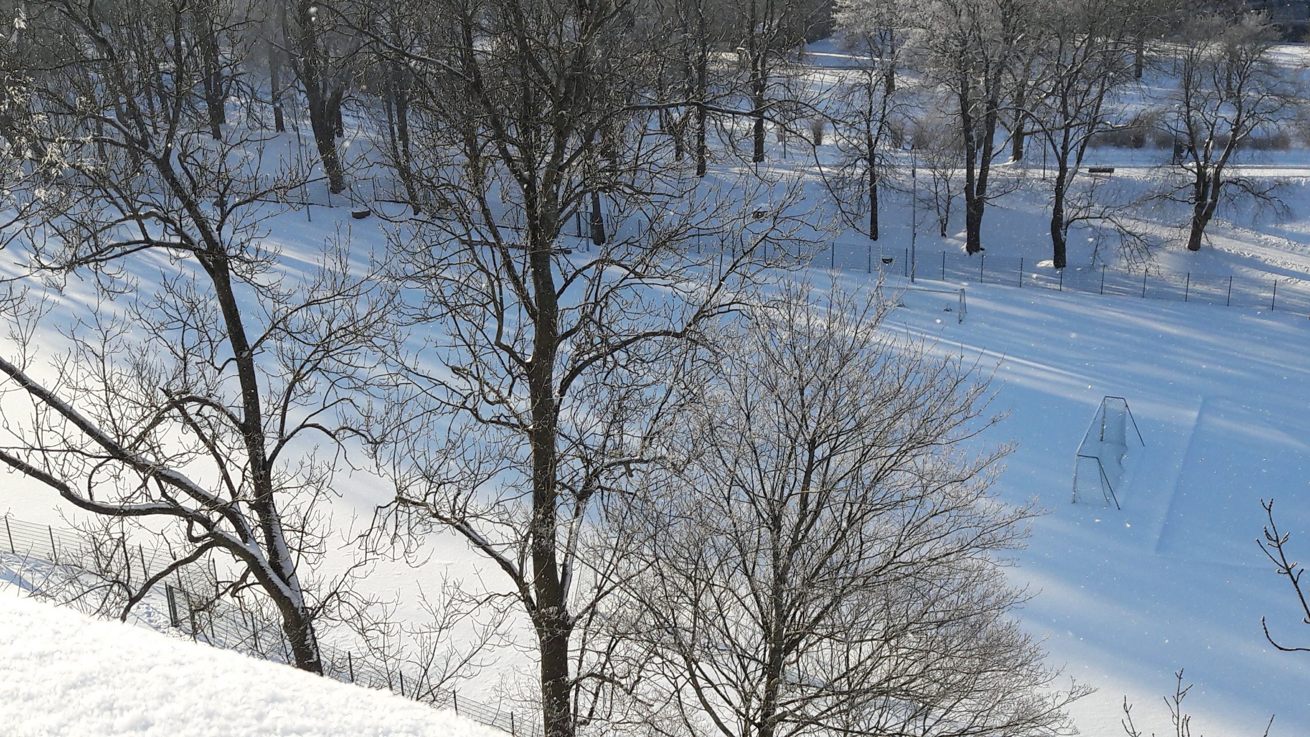 20180209_150746