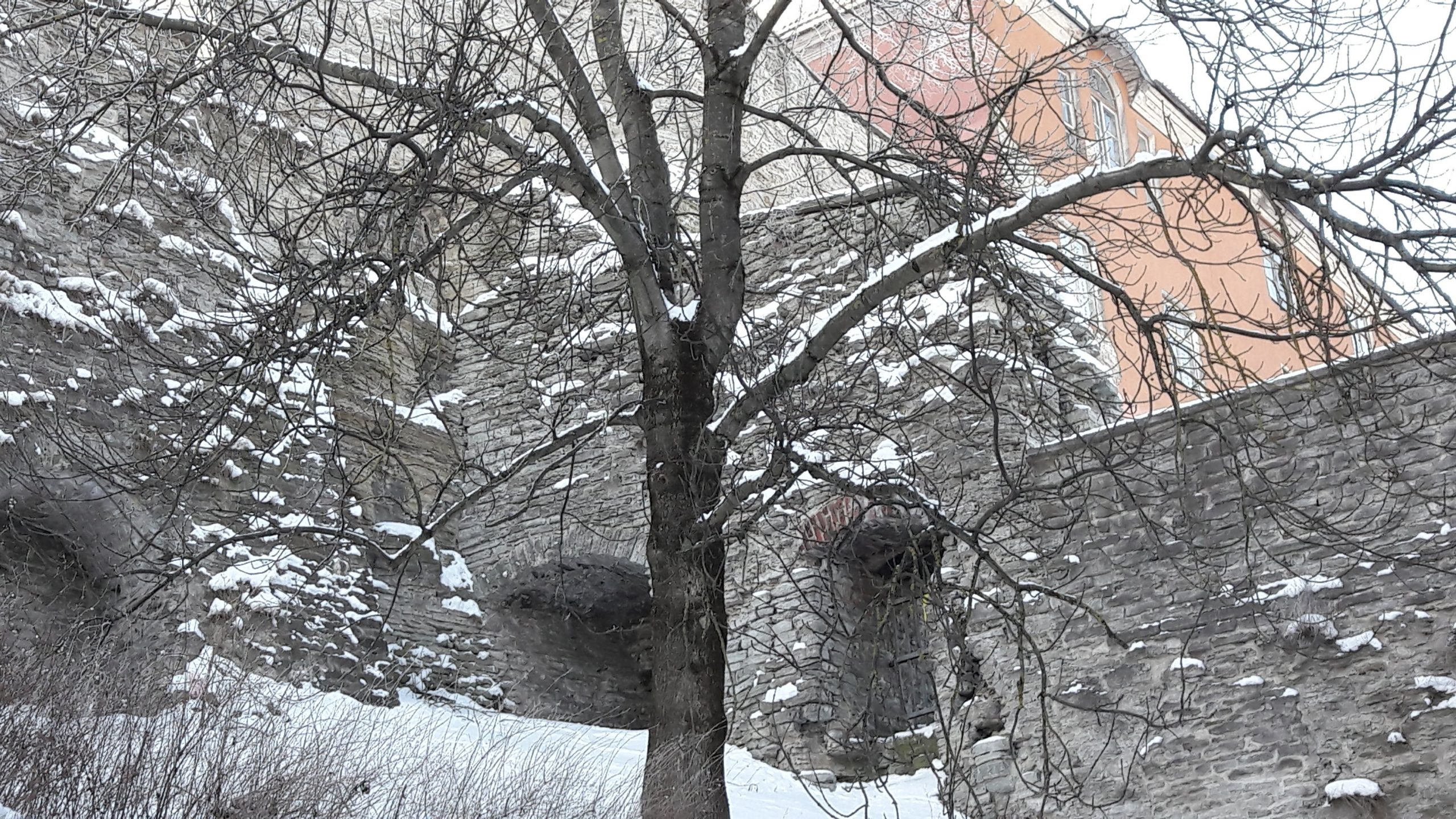 20180209_152443