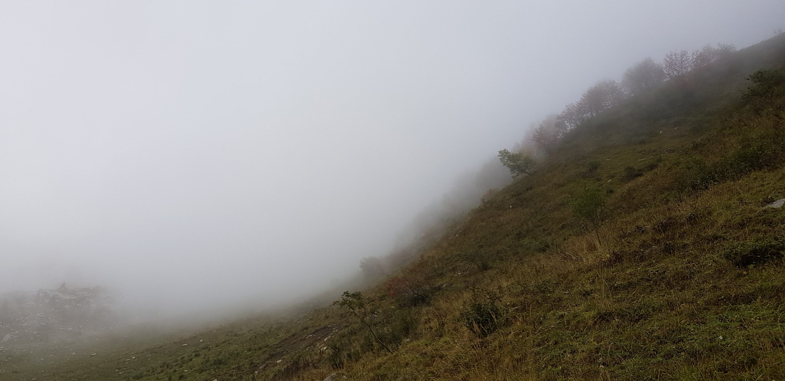 20191008_104751