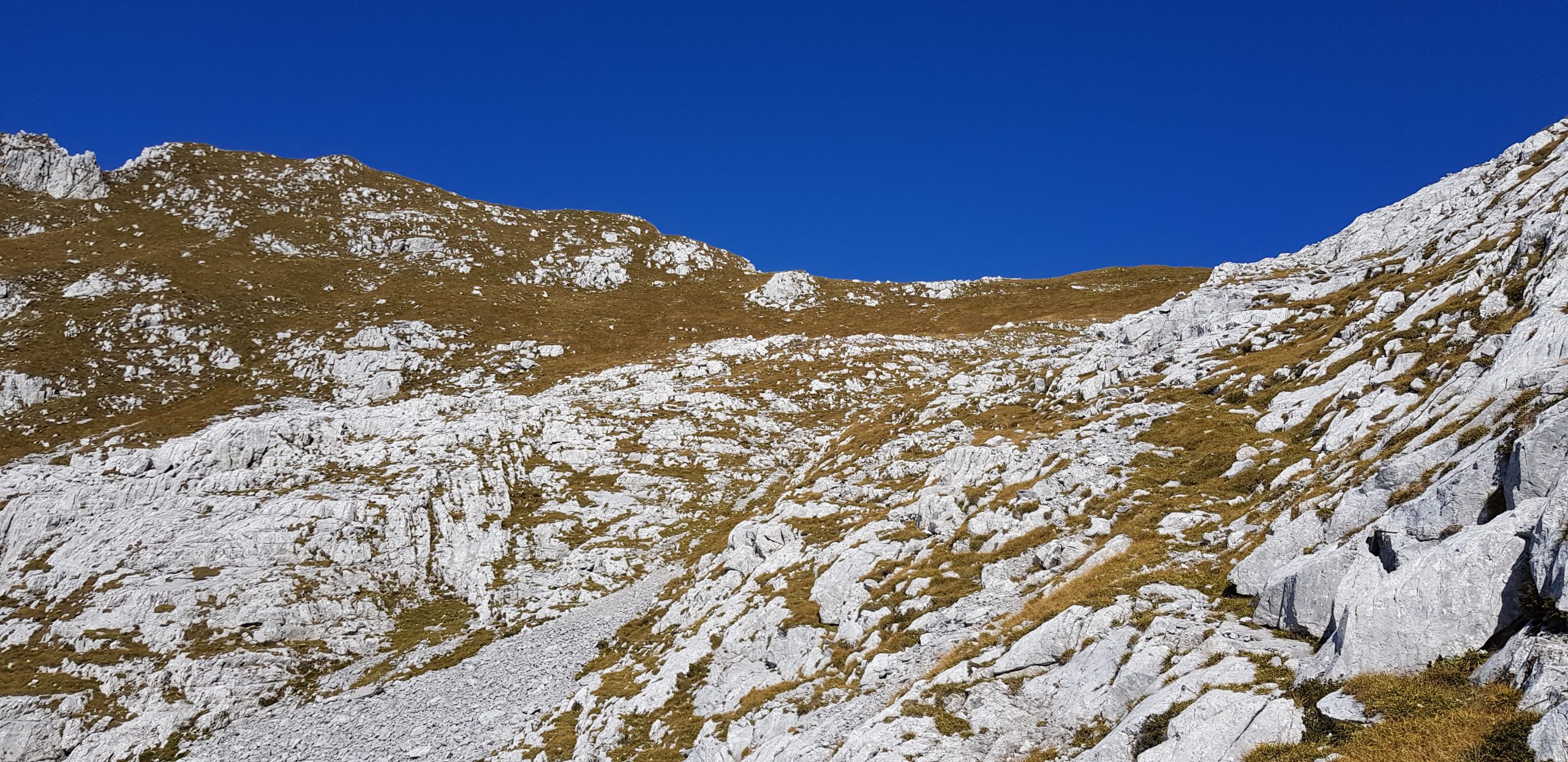 20191008_115244