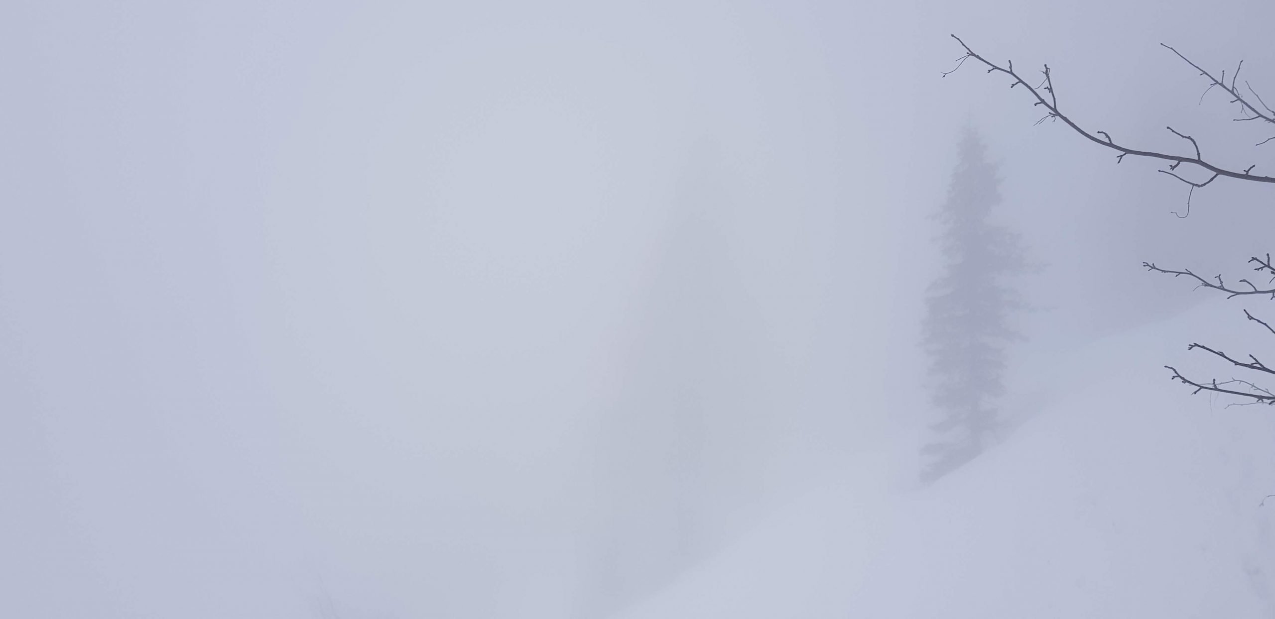 20200301_162501